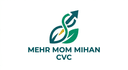 صندوق سرمایه گذاری خطرپذیر